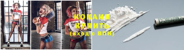стаф Ладушкин