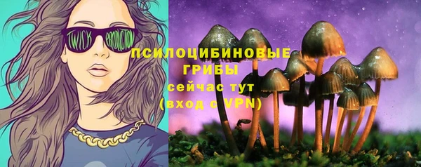 гидропоника Липки