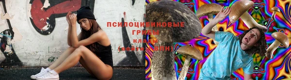 гидропоника Липки