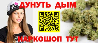 гидра Гагарин