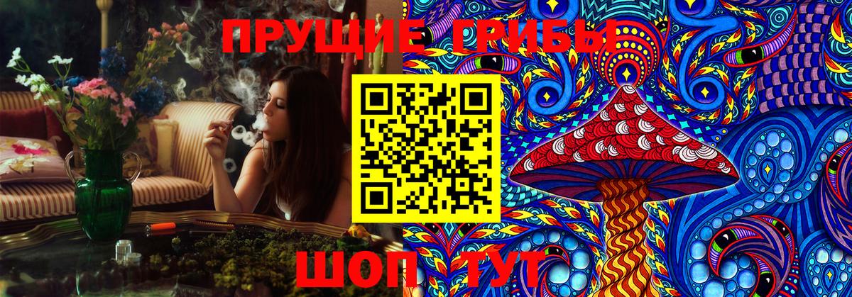 Псилоцибиновые грибы Cubensis  Галлюциногенные грибы мицелий  Котлас  Вход с VPN 