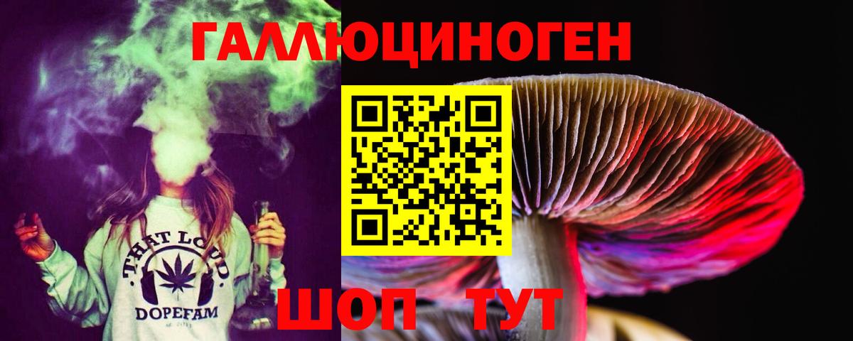 Псилоцибиновые грибы Psilocybine cubensis Котлас